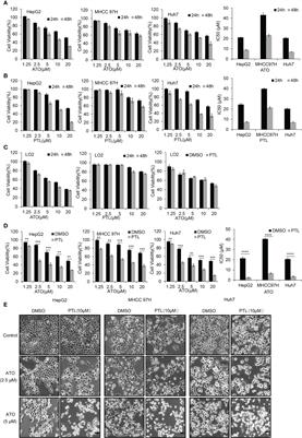 Parthenolide and arsenic trioxide co-trigger autophagy-accompanied apoptosis in hepatocellular carcinoma cells